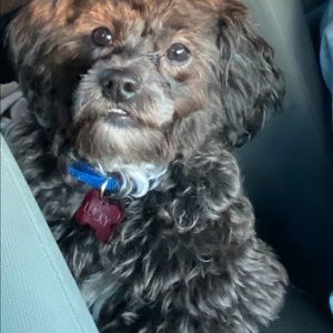 Meet your Posher, Cristina